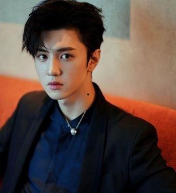 陈哲远娱乐圈爆料事件是什么,揭秘背后真相与影响